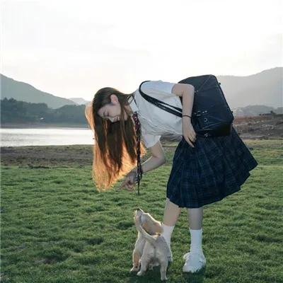 狗狗人生